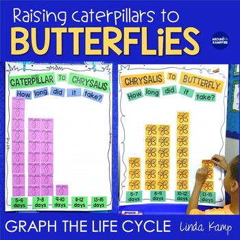 Preview of Butterfly Life Cycle Graphing Activities - Live Butterflies Data & Graphing