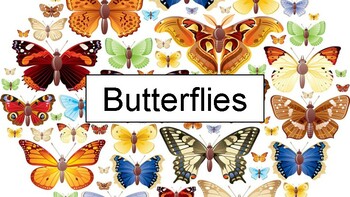 Preview of Butterflies Information Book