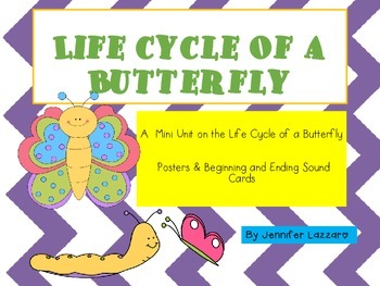 Preview of Butterflies: Life Cycle & More Integrated Science, Writing & Reading