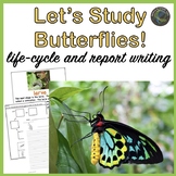 Butterflies: Life Cycle, Report Writing, and More!