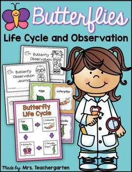 Preview of Butterflies (Life Cycle and Observation)