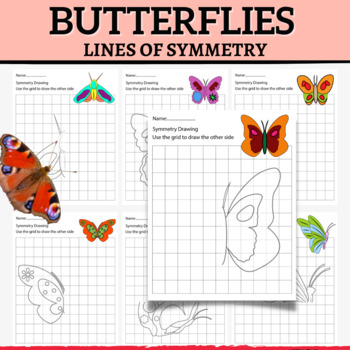 Preview of Butterflies Lines of Symmetry Spring Activity