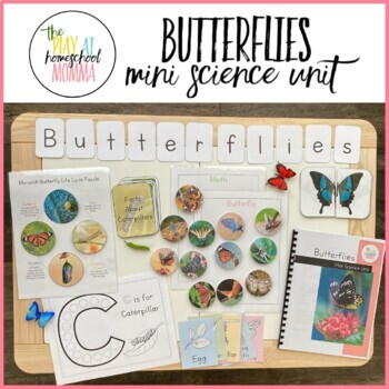 Preview of Butterflies Mini Unit