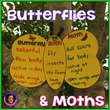 Preview of Butterflies & Moths Interactive Unit