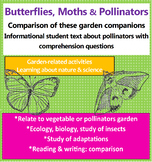 Butterflies, Moths and Pollinators