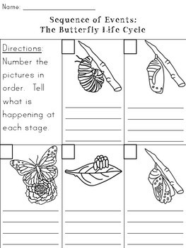 Caterpillar & Butterfly Life Cycle by Megan Joy | TpT