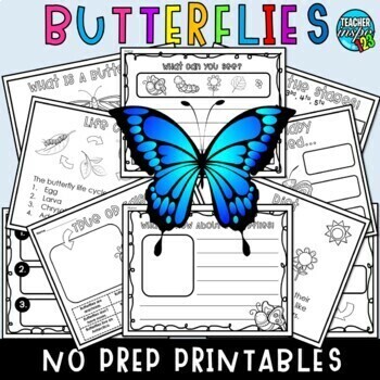 Preview of Life Cycle of a Butterfly No Prep Worksheets with Reading Comprehension Passage