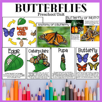 All About Butterflies: A Full Curriculum Preschool Unit by Mama Bear ...