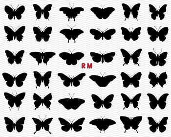 Download Butterflies Svg Silhouette Digital Clipart Eps Svg Jpg Png Dxf For Cricut