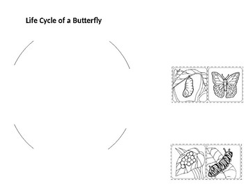 Preview of Butterflies (Science Notebook Pages)
