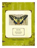 Butterflies Themed Nature Education Unit-Stage 2 (Magic Fo