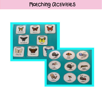 Butterflies and Insects Toddler Activities by Teaching the TOT Flock