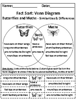 Preview of Butterflies and Moths: Picture Sort Graph Activities and Chart - RI.K.7, RI.K.9