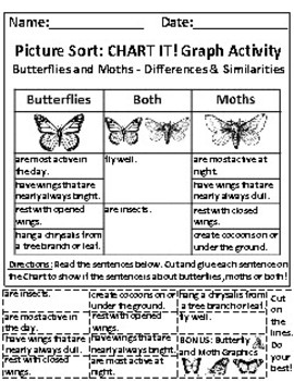 Preview of Butterflies and Moths: Picture Sort Graph Activity - Differentiated (Challenge)