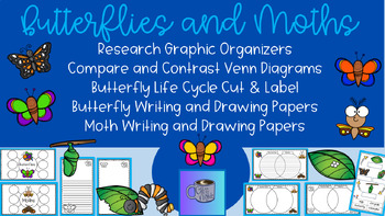 Preview of Butterflies and Moths Unit Activity Resource FLASH FREEBIE