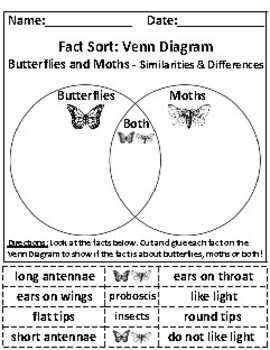 Butterflies and Moths: Venn Diagram Graphing Activities *Answer Keys ...