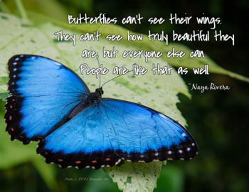 Butterflies can't see their wings Everyone else can People like that 8 ...