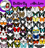 Butterflies collection clip art- 102 items!!
