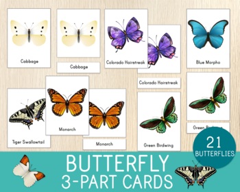Preview of Butterfly 3-Part Cards,21 Types, Nomenclature Cards, Spring, Insects, Vocabulary