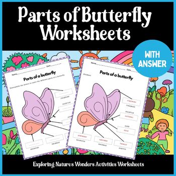 Butterfly Anatomy with Engaging Printable Worksheet by Tiny Tutors Store