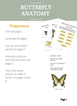 Preview of Butterfly Anatomy with Word Bank, Write in and Matching Activities