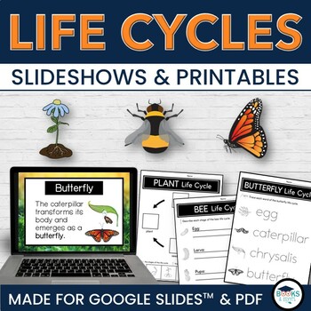 Preview of Butterfly, Bee, Plant Life Cycles Slideshows for Google Slides™ + Printables