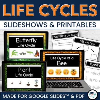 Preview of Butterfly, Bee, Plant Life Cycles Slideshows for Google Slides™ + Printables