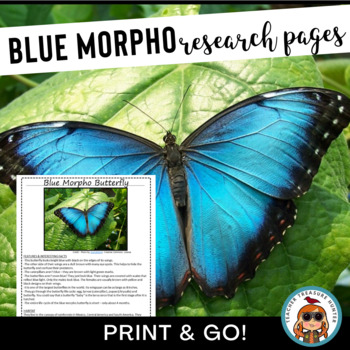 Preview of Butterfly Blue Morpho Animal Research Pages for Rainforest Animal Report