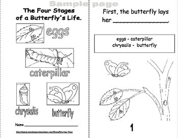 Butterfly Book-The Four Stages of a Butterfly by Maritza Good Idea