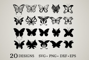 Butterfly SVG by JessicaUs | TPT