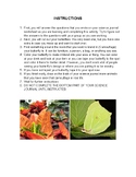 Butterfly Camoflauge Activity