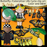 Butterfly /Caterpillar Life Cycle clip art. Color and B&W