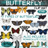 Butterfly Clip Art | Types of Butterflies Clipart | Monarc