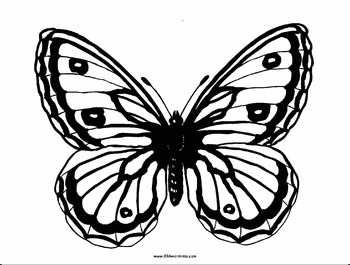Preview of Butterfly Coloring Book