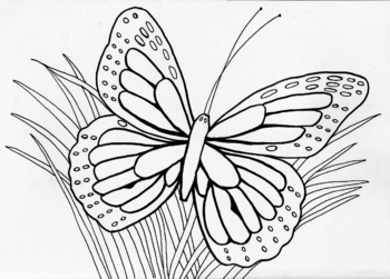 Preview of Butterfly Coloring Page for Stress Reduction