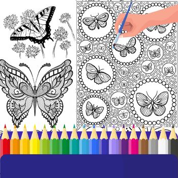 Preview of Butterfly Coloring Pages for Adults