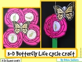 Butterfly Life Cycle