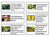 Butterfly Fact and Opinion T-Chart