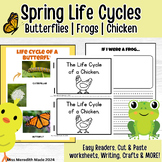 Butterfly | Frog | Chicken Life Cycles | Craft | Cut & Pas