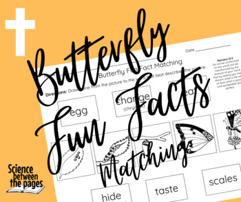 Preview of Butterfly Fun Facts Matching Sheet