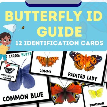 Preview of Butterfly ID Guide