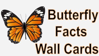 Preview of Butterfly Information Science Wall