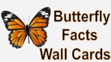 Butterfly Information Science Wall