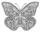 Butterfly Insect 2 Zentangle Coloring Page