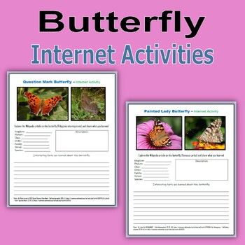 Preview of Butterfly Internet Activities
