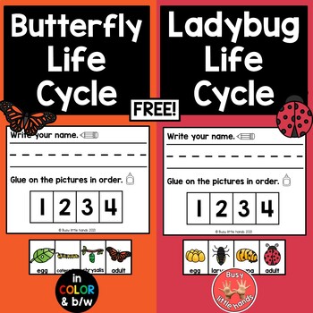 Preview of Butterfly/Ladybug Life Cycle FREEBIE- Preschool, Kindergarten, Special Education