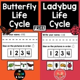 Butterfly/Ladybug Life Cycle FREEBIE- Preschool, Kindergar