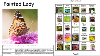 Preview of Butterfly Lesson For In-Person and Online Classrooms