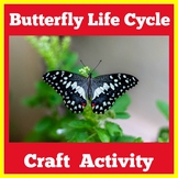 Butterfly Life Cycle | Craft Activity Worksheet Preschool 