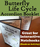 Butterfly Life Cycle Craft Foldable: Eggs, Caterpillar, Pu
